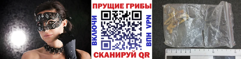 KRAKEN рабочий сайт  Морозовск  Псилоцибиновые грибы GOLDEN TEACHER  даркнет сайт 