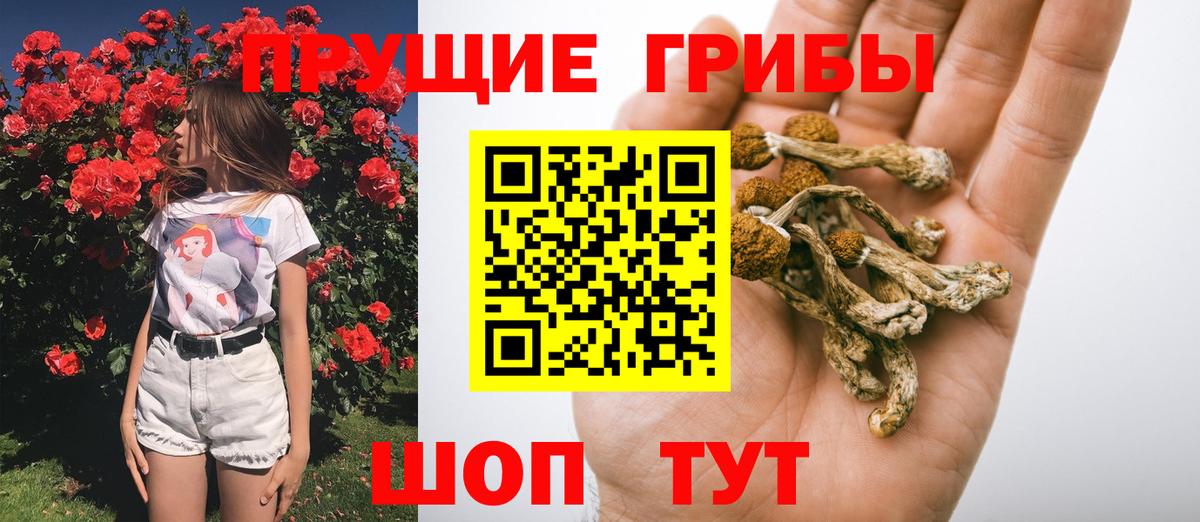 Псилоцибиновые грибы ЛСД  где купить   Морозовск  Вход с VPN 