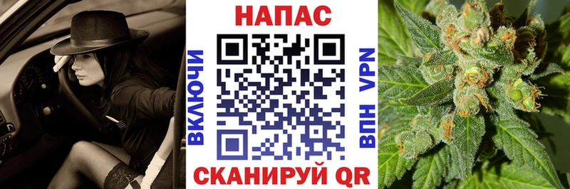 как найти закладки  Морозовск  площадка формула  Каннабис ГИДРОПОН 